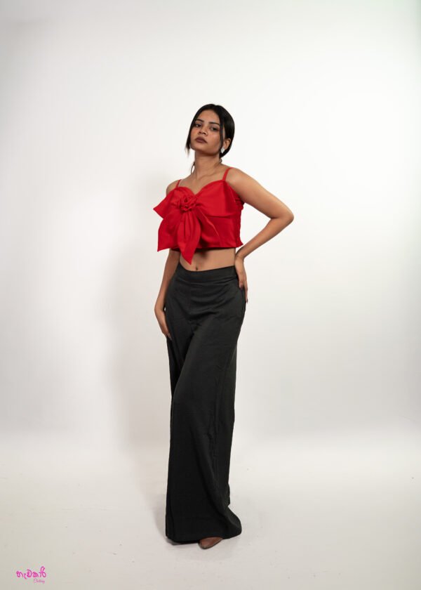 elegant red blouse pant set